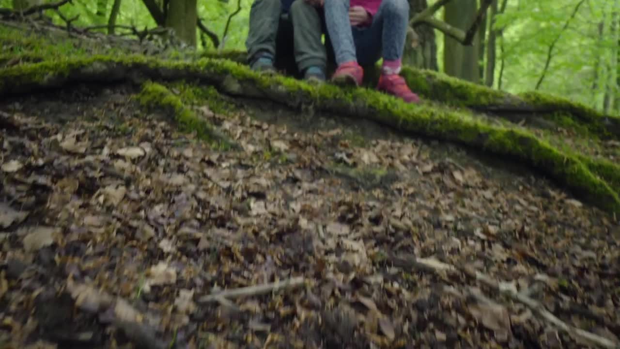 Download Video Stock Children Resting In Woodland Live Wallpaper For PC