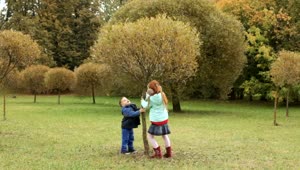 Video Stock Children Playing With A Tree Live Wallpaper For PC