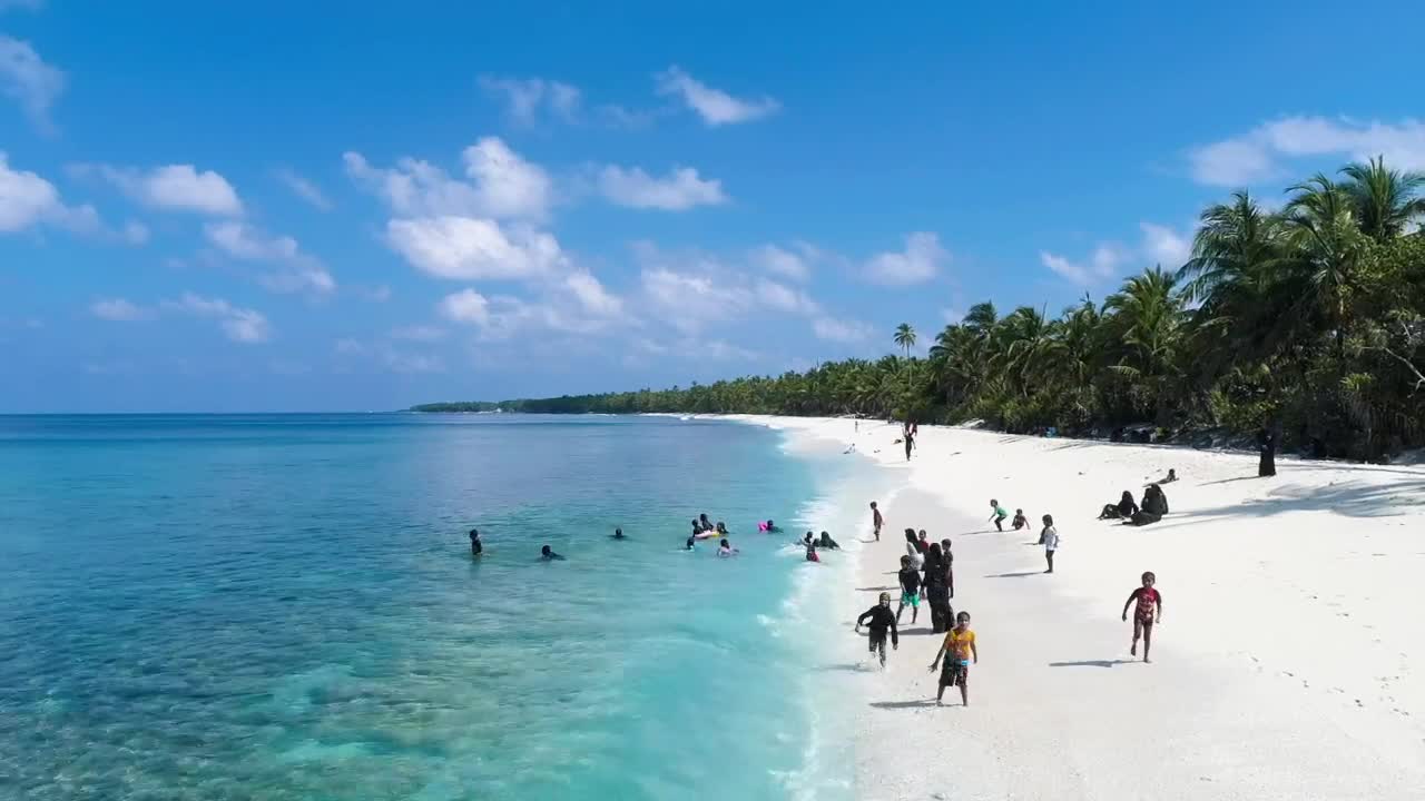 Download Video Stock Children Playing On The Beach Live Wallpaper For PC