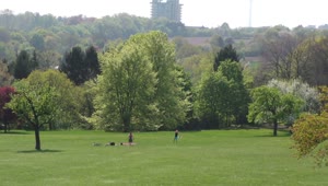Video Stock Children Playing In The Park Seen From Afar Live Wallpaper For PC