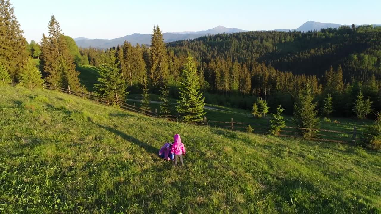 Download Video Stock Children Playing In The Meadows Of A Farm Live Wallpaper For PC