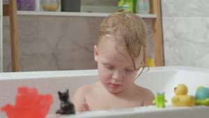 Video Stock Child Playing With Bath Animals Live Wallpaper For PC