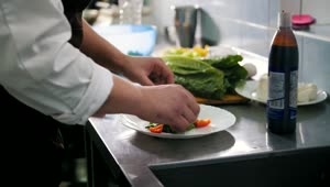 Video Stock Chef Preparing Salad In The Restaurant Kitchen Live Wallpaper For PC