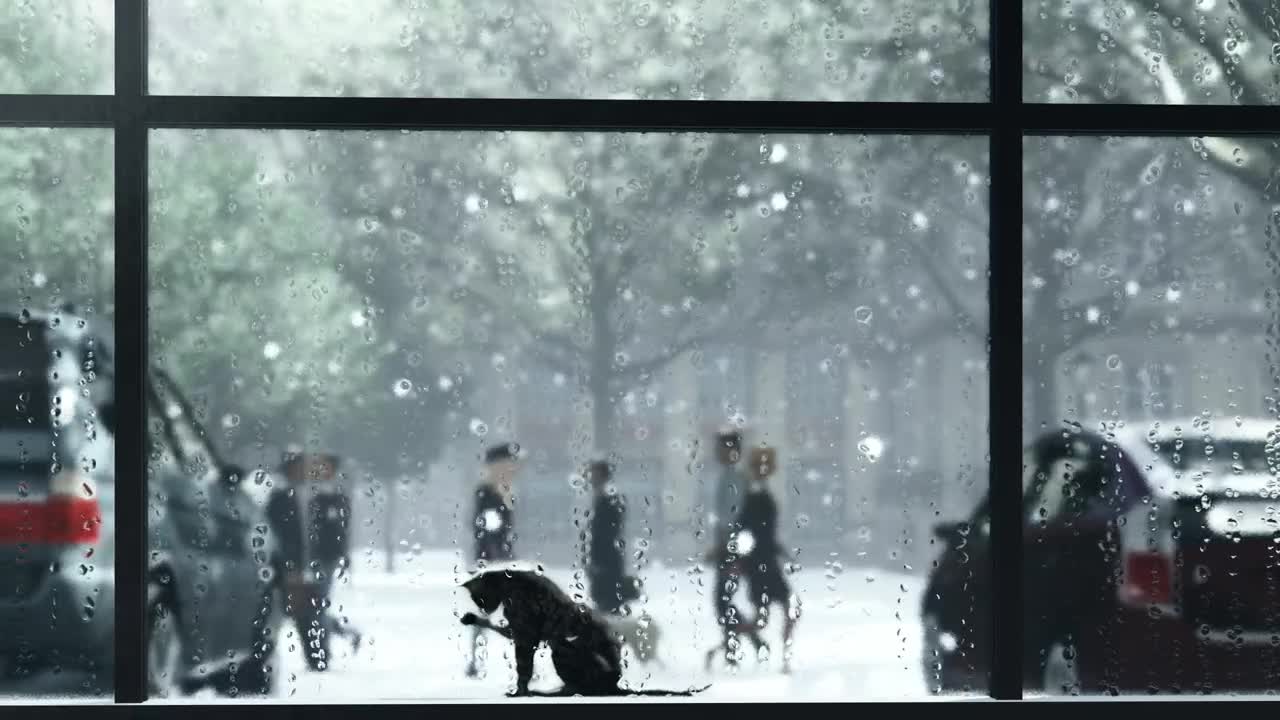 Download Video Stock Cat In A Window During Winter Live Wallpaper For PC