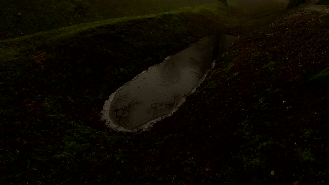 Download Video Stock Castle Wall In A Misty Forest Live Wallpaper For PC