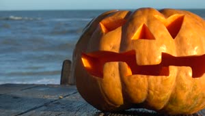 Video Stock Carved Halloween Pumpkin Live Wallpaper For PC