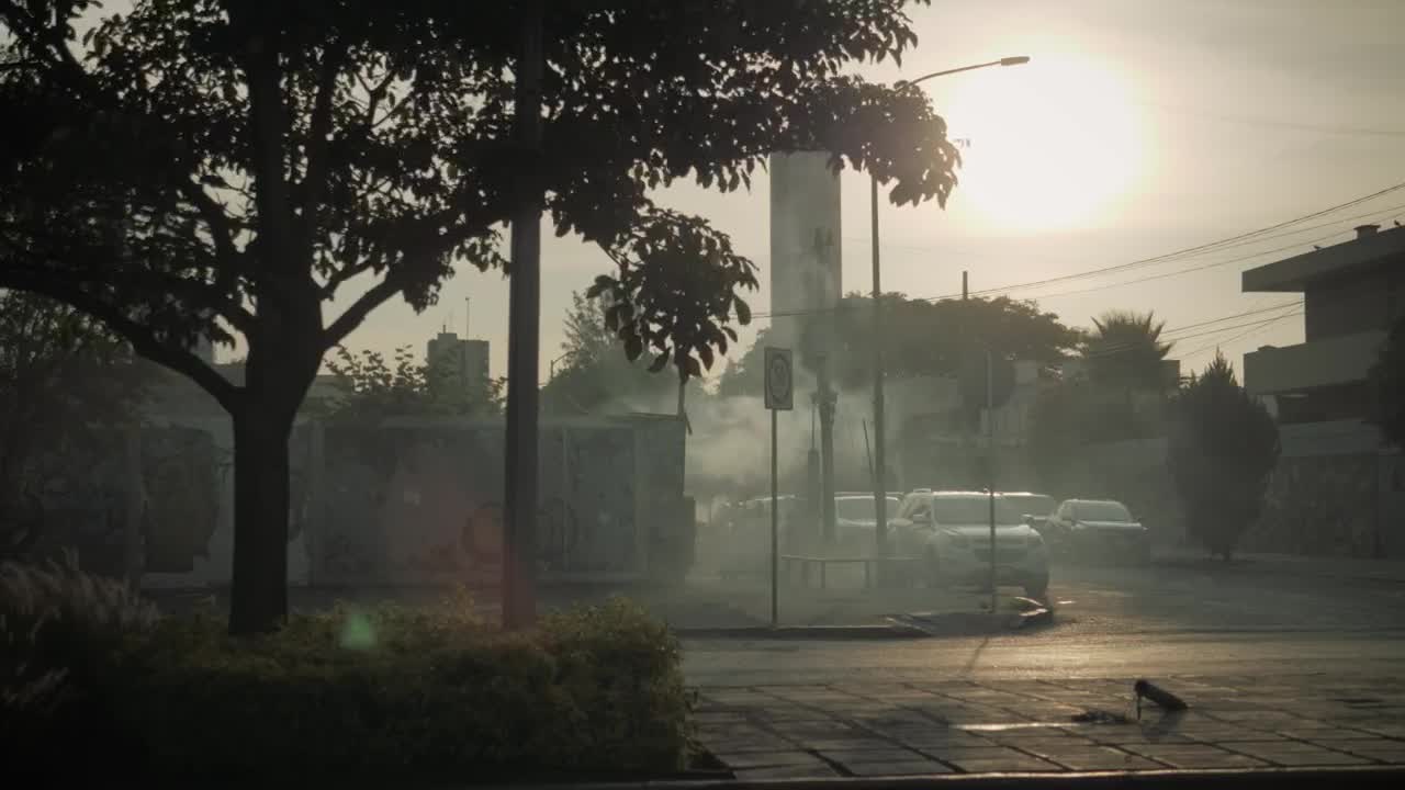 Download Video Stock Cars Driving Under A Tree Live Wallpaper For PC