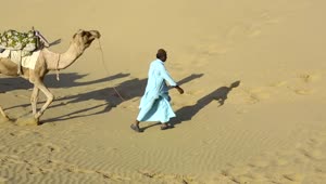 Video Stock Caravan Of Camels In The Desert Live Wallpaper For PC