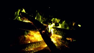 Video Stock Campfire At Night Close Up Live Wallpaper For PC