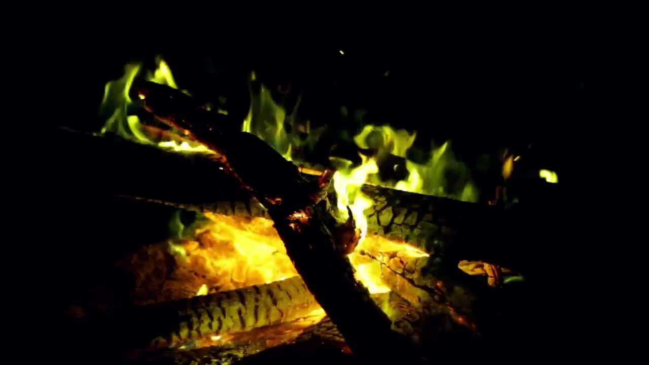 Download Video Stock Campfire At Night Close Up Live Wallpaper For PC