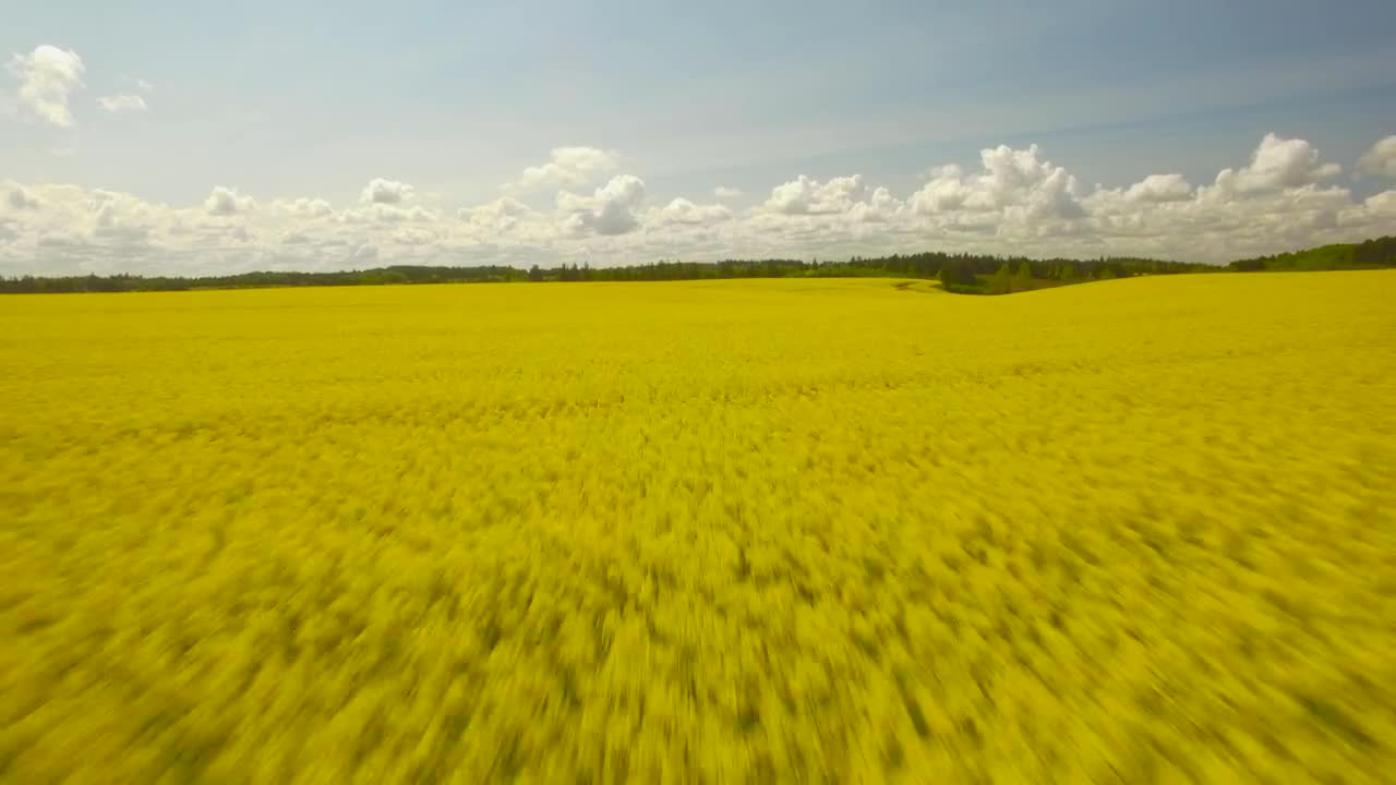 Download Video Stock Clouds On The Horizon Live Wallpaper For PC
