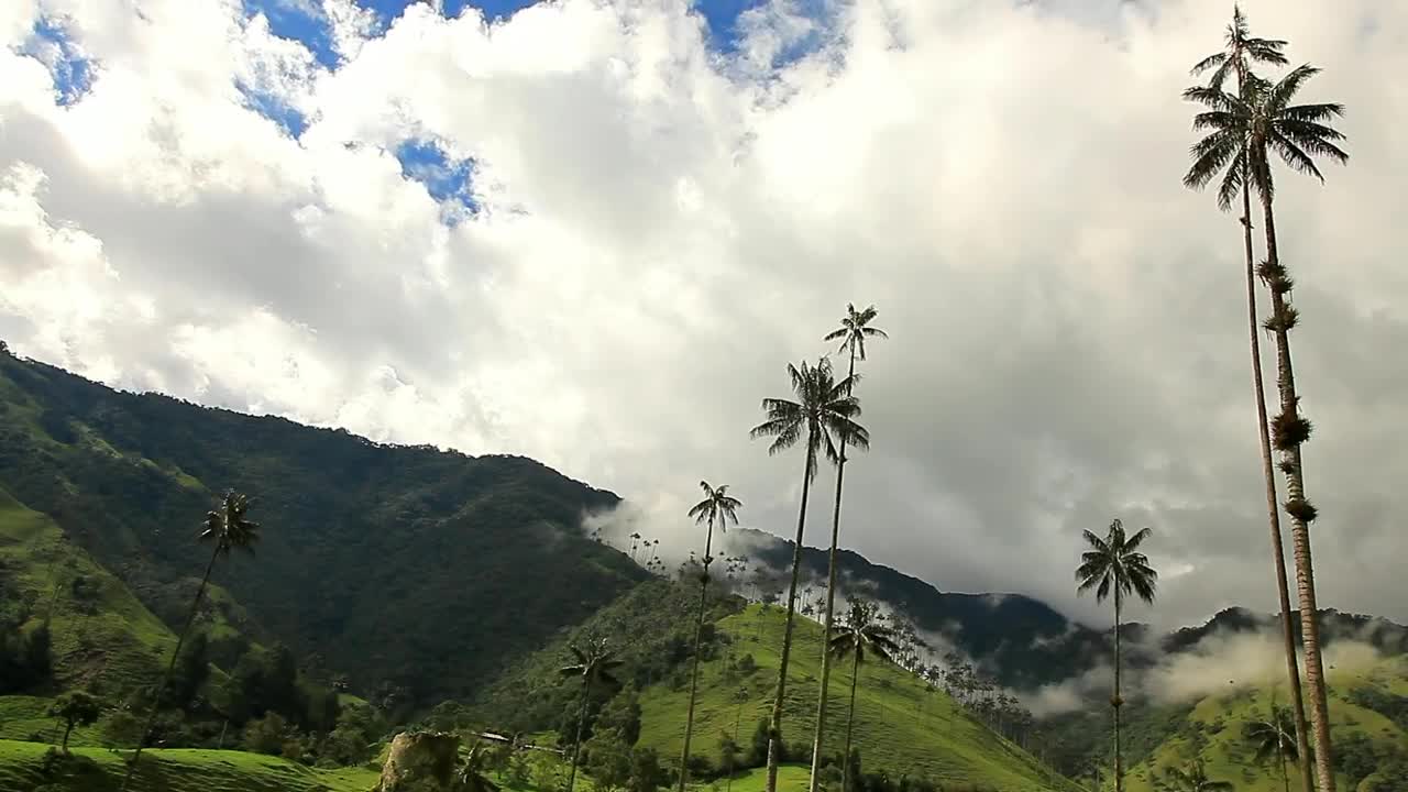 Download Video Stock Clouds Moving Over Mountains And Palm Trees Live Wallpaper For PC