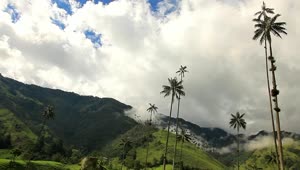 Video Stock Clouds Moving Over Mountains And Palm Trees Live Wallpaper For PC