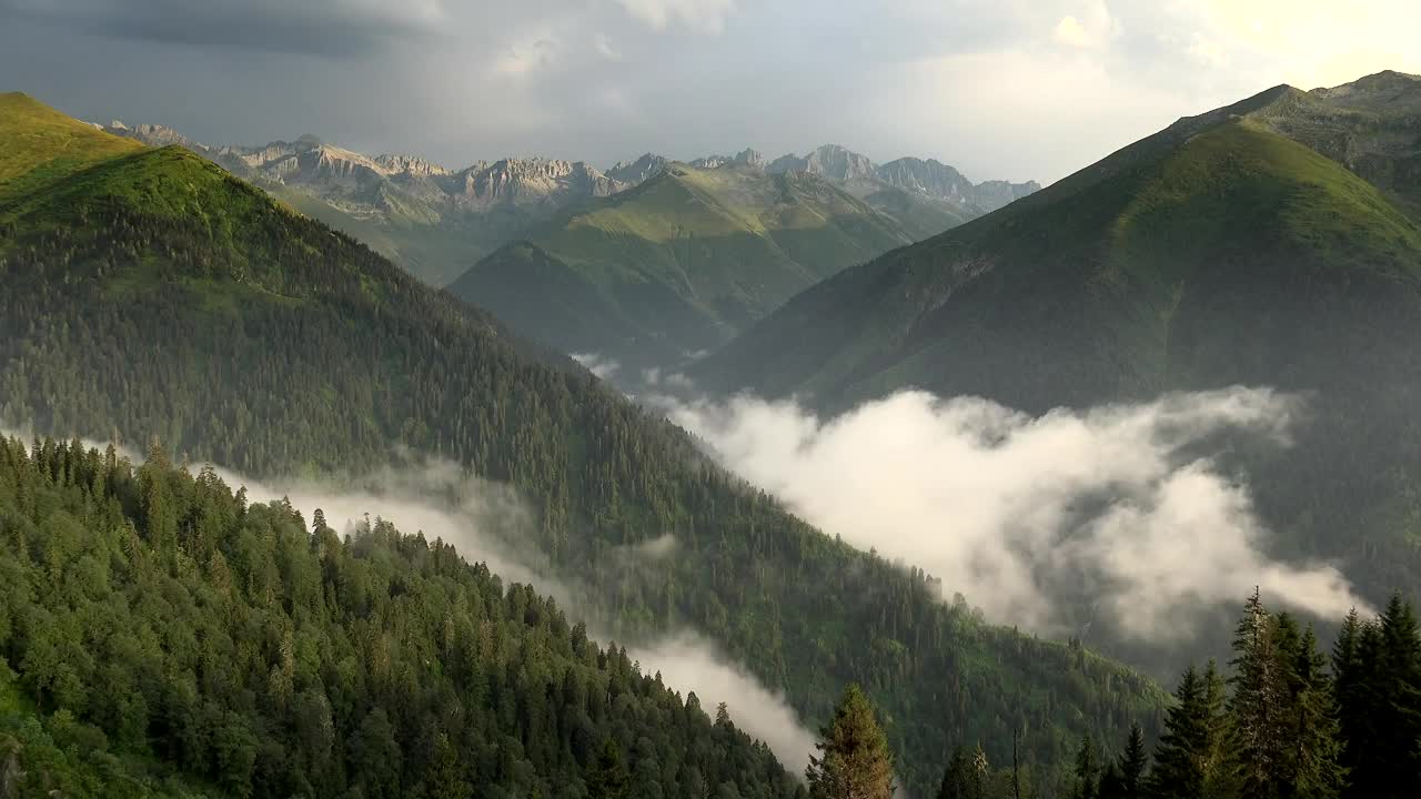Download Video Stock Clouds Forming In The Mountain Forest Live Wallpaper For PC