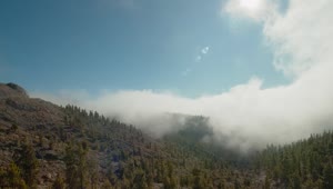 Video Stock Clouds Creeping Over A Forest Live Wallpaper For PC