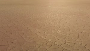 Stock Video Dehydrated Dirt Surface Texture In The Desert Live Wallpaper For PC