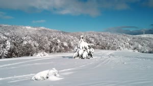 Stock Video Deep Snow Covering The Countryside Live Wallpaper For PC