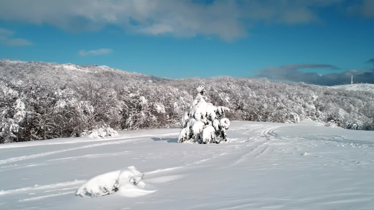 Download Stock Video Deep Snow Covering The Countryside Live Wallpaper For PC
