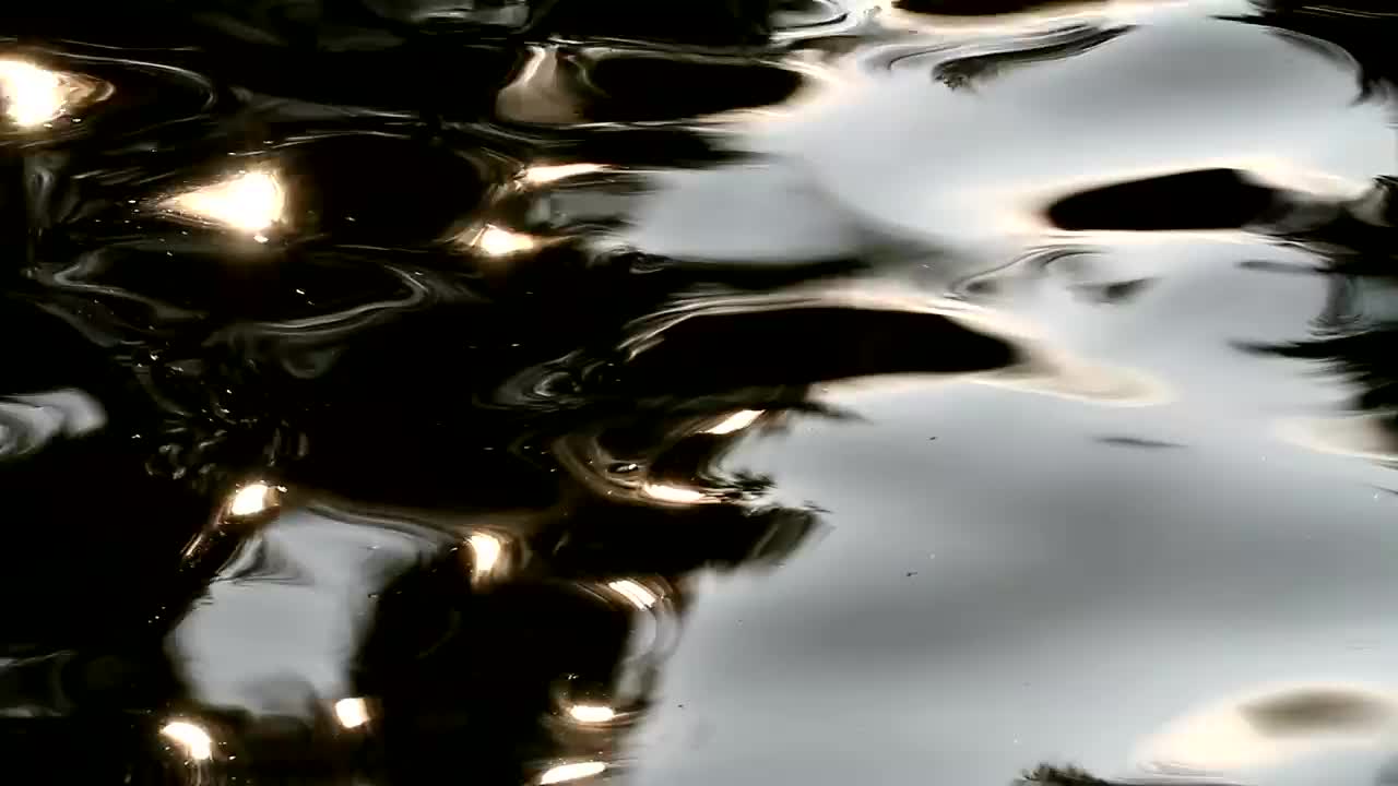 Download Stock Video Dark Surface Of A Lake Live Wallpaper For PC