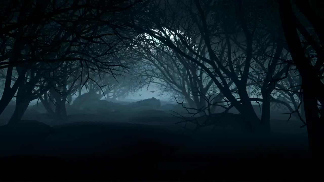 Download Stock Video Dark Forest On A Night With A Full Moon For Live Wallpaper For PC