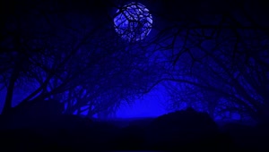 Stock Video Dark Dry Tree Forest In D Under A Big Moon Live Wallpaper For PC