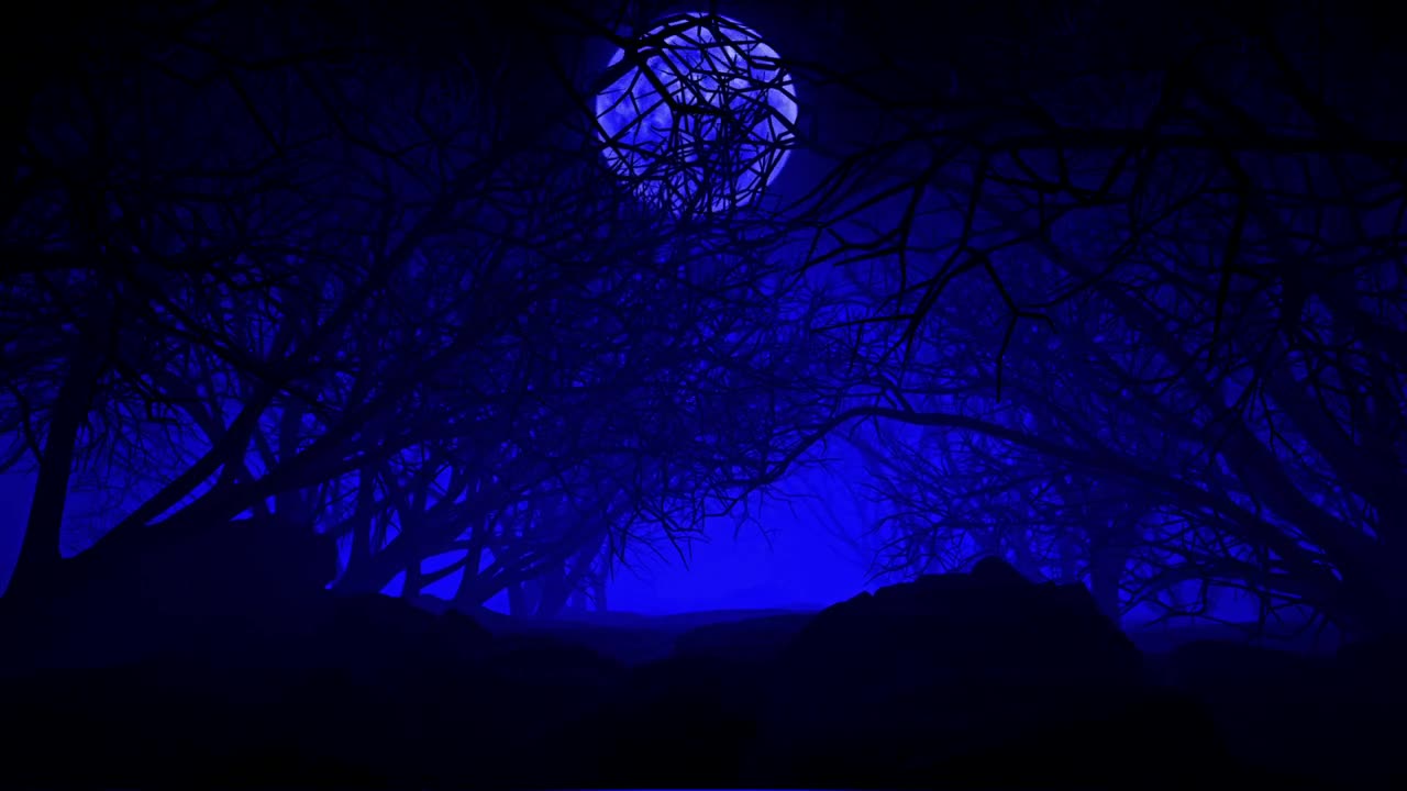 Download Stock Video Dark Dry Tree Forest In D Under A Big Moon Live Wallpaper For PC