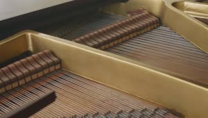 Stock Video Dampers Moving Inside A Grand Piano Live Wallpaper For PC