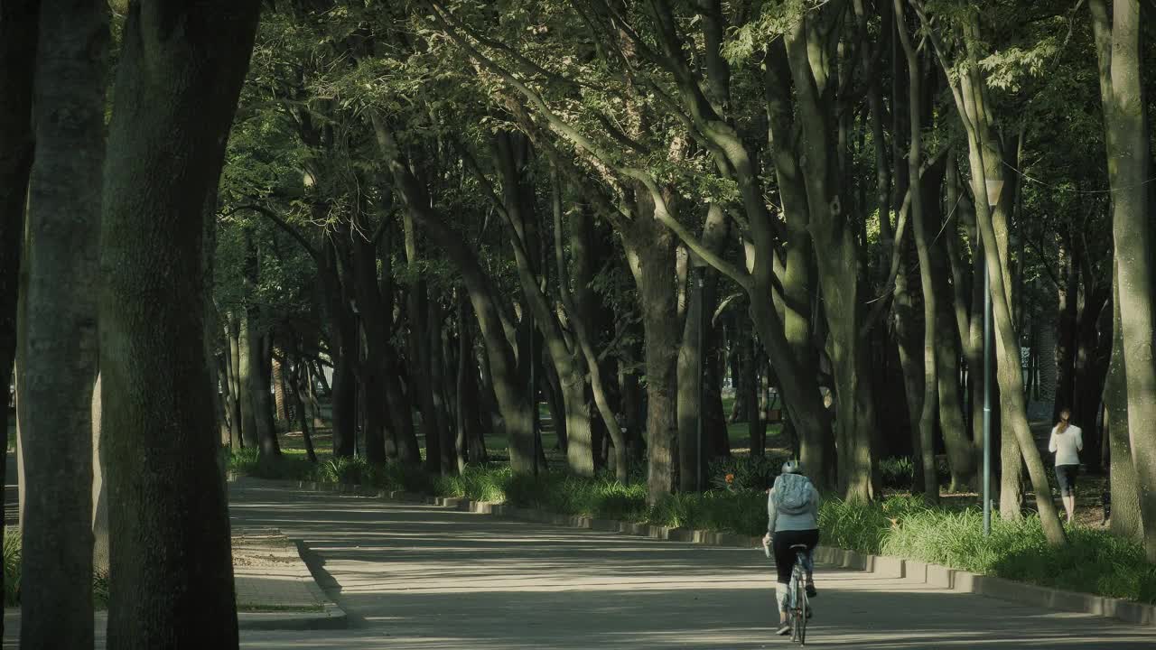 Download Stock Video Cyclist In The Park Live Wallpaper For PC