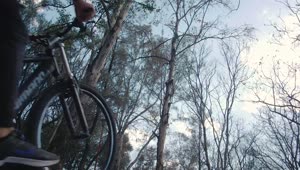 Stock Video Cyclist Going Up A Slope In A Forest Live Wallpaper For PC