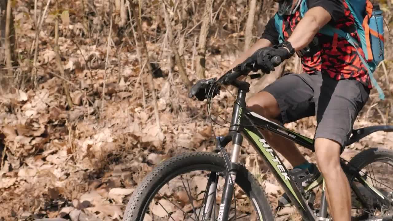 Download Stock Video Cyclist Crossing A Wooden Bridge In A Forest Live Wallpaper For PC