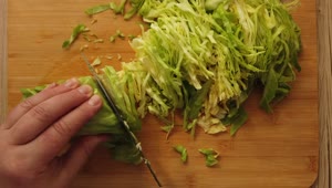 Stock Video Cutting Up Cabbage Live Wallpaper For PC