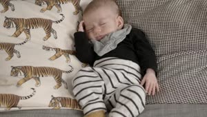 Stock Video Cute Baby Sleeping On A Couch Live Wallpaper For PC