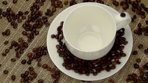 Stock Video Cup Being Filled With Coffee Beans Live Wallpaper For PC