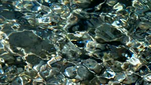 Stock Video Crystal Clear Water With Rocky Bottom Live Wallpaper For PC