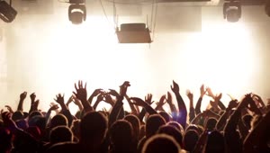 Stock Video Crowd Clapping In In A Music Concert Live Wallpaper For PC