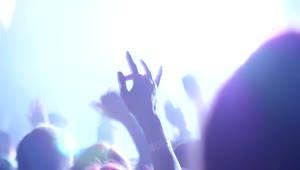 Stock Video Crowd And Band At The Concert Live Wallpaper For PC