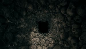 Stock Video Creepy Dark Cave Full Of Skulls Live Wallpaper For PC