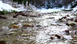 Stock Video Creek In A Snowy Forest In Slow Motion Live Wallpaper For PC