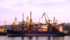 Stock Video Cranes In Motion At The Trading Port Live Wallpaper For PC