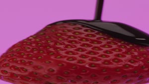Stock Video Covering A Strawberry With Liquid Chocolate On A Lilac Background Live Wallpaper For PC