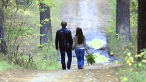 Stock Video Couple Walking In The Woods Live Wallpaper For PC