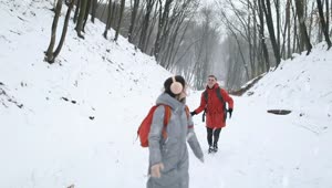 Stock Video Couple Walking Happily Through A Forest While Snowing Live Wallpaper For PC