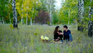 Download Stock Video Couple On A Picnic In The Middle Of Nature Live Wallpaper For PC
