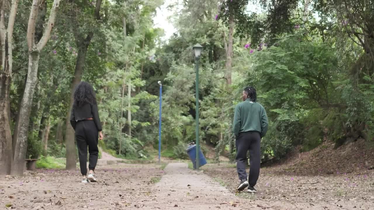 Download Stock Video Couple Of Man And Woman Walking Apart Through A Forest Live Wallpaper For PC