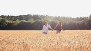 Stock Video Couple In Love In A Wheat Field Live Wallpaper For PC