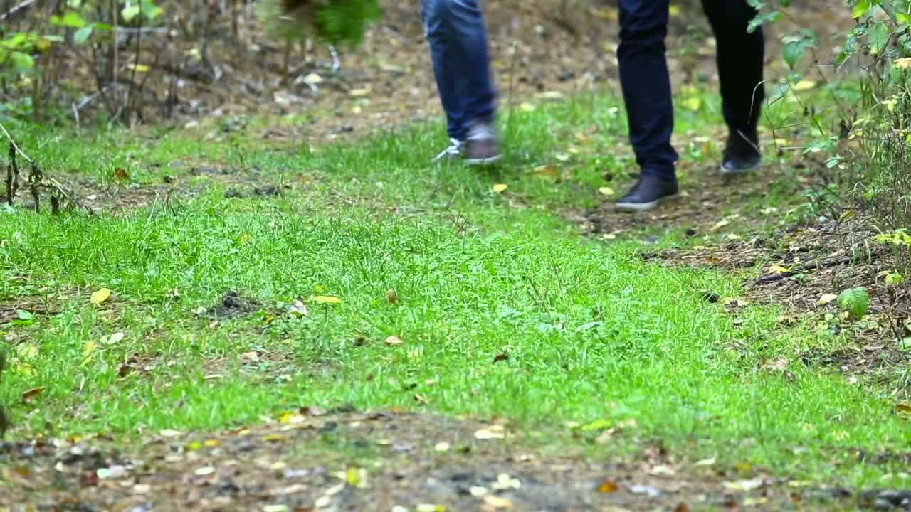 Download Stock Video Couple Holding Hands Walking In The Forest Live Wallpaper For PC