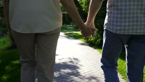 Stock Video Couple Holding Hands In The Park Live Wallpaper For PC