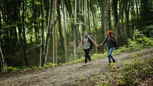 Stock Video Couple Hold Hands On Romantic Hike In Forest Live Wallpaper For PC