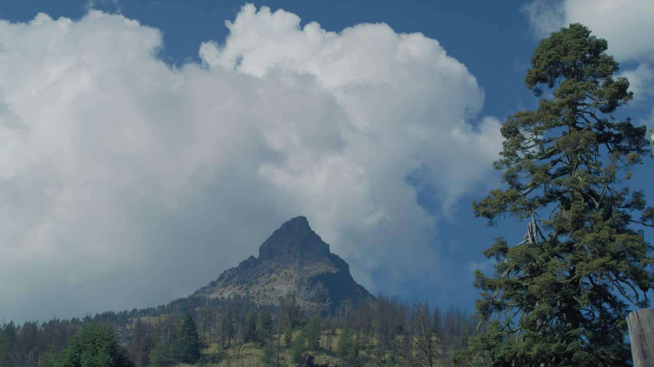 Download Stock Video Couple Having Breakfast In The Forest Live Wallpaper For PC