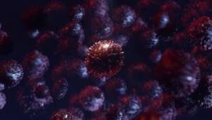 Stock Video Coronavirus Cells Spin In D Animation Live Wallpaper For PC